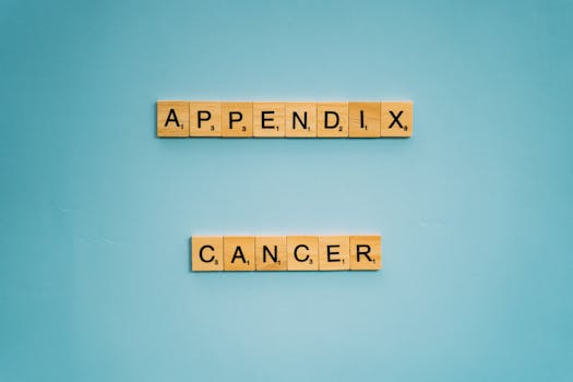 Master Online Casino Terms: A Beginners Guide to Gaming Lingo